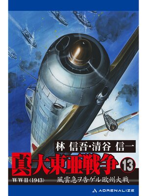 cover image of 真・大東亜戦争（13）
